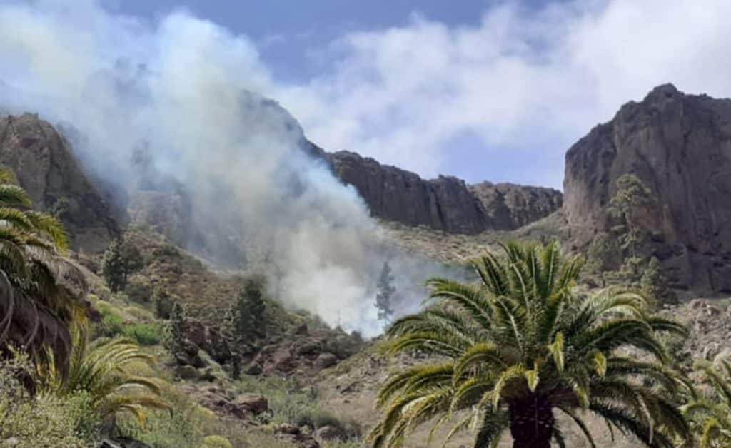 Declaran un conato de incendio en Gran Canaria