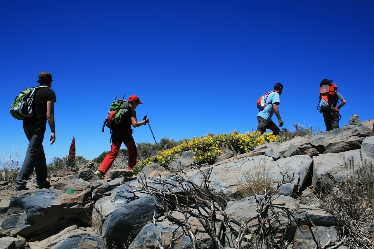 Teide