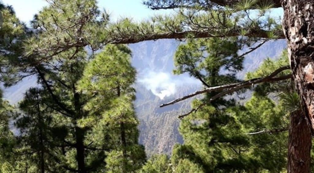 El incendio forestal se declaró ayer sobre las 16.30 horas en el interior de La Caldera, en la Palmita de la Hiedra (El Paso), en una zona de difícil acceso y complicada orografía. DA