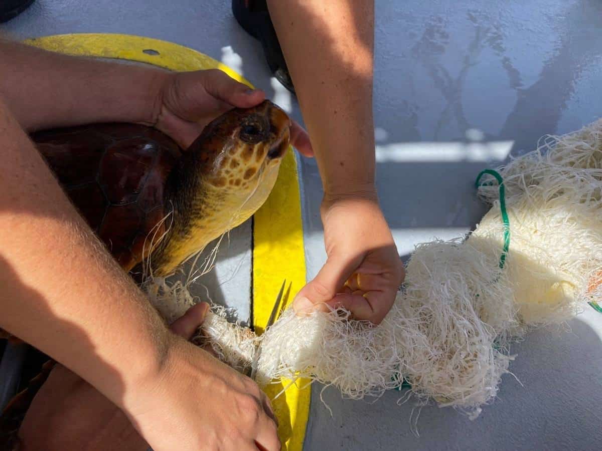 Localizan las tres zonas con más microplásticos en Canarias