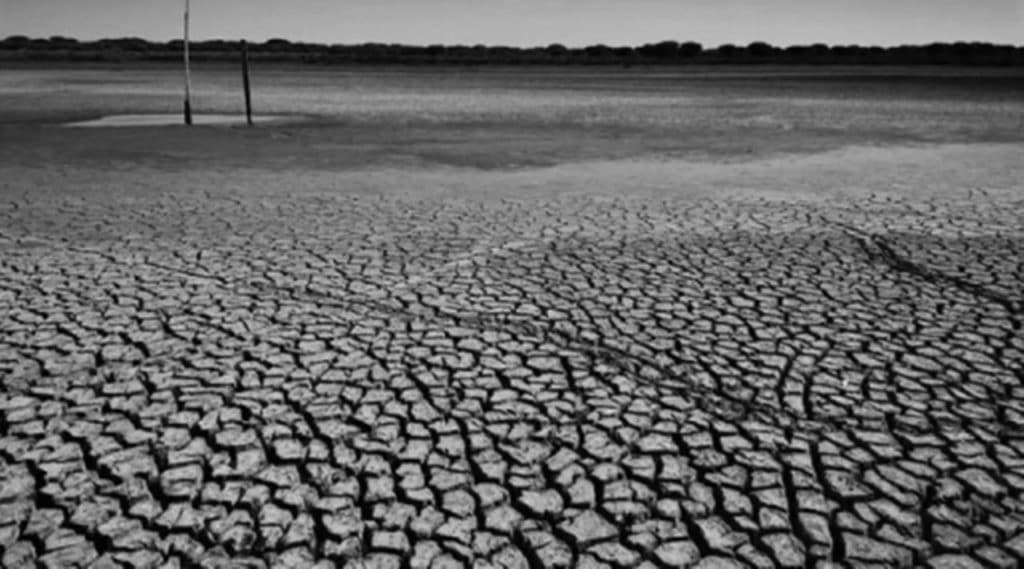 La sequía está generando pérdidas de más del 80% en los cultivos del país. E.E