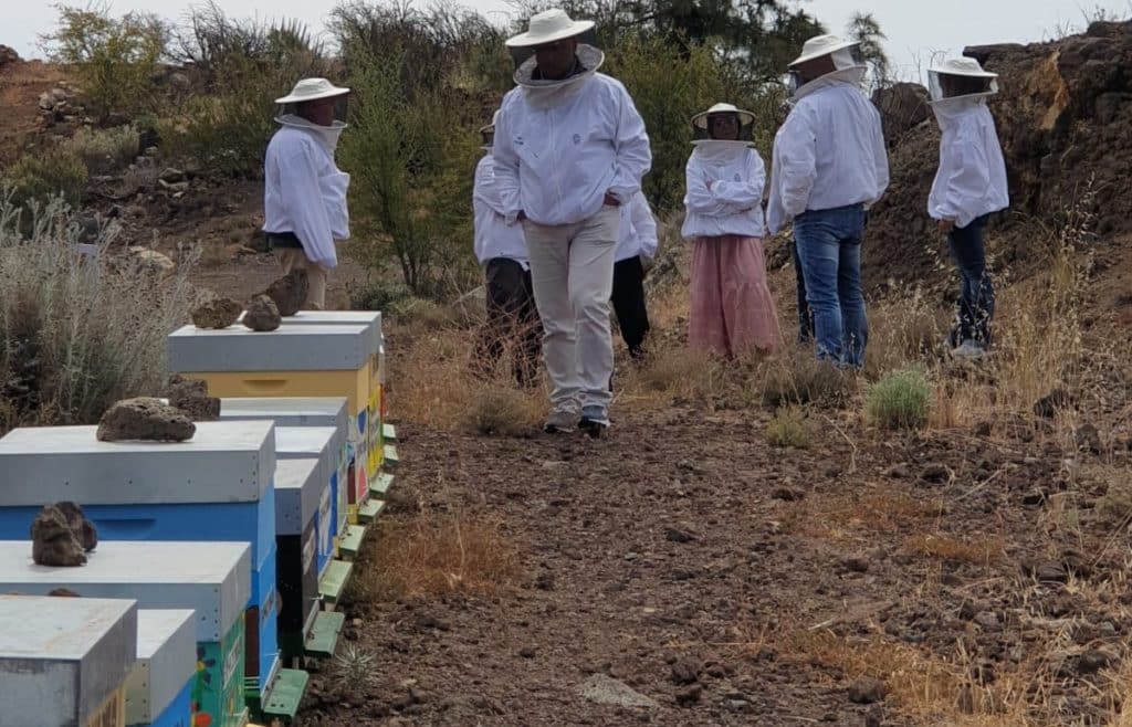 Fasnia apuesta en los altos de Archifira por el apiturismo local