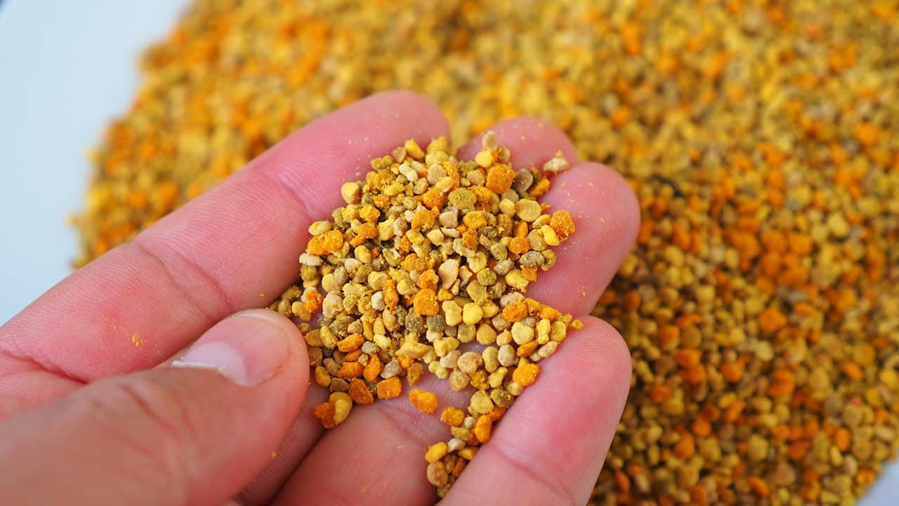 Científicos de España alertan de la presencia de sustancias cancerígenas en un popular alimento del supermercado