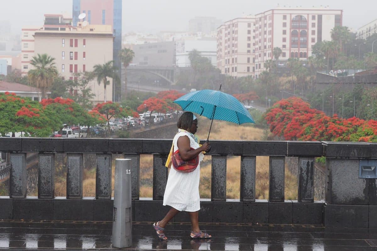 Las consecuencias de la borrasca Óscar en Canarias: 61,8 litros de lluvia y vientos de 93 km/h