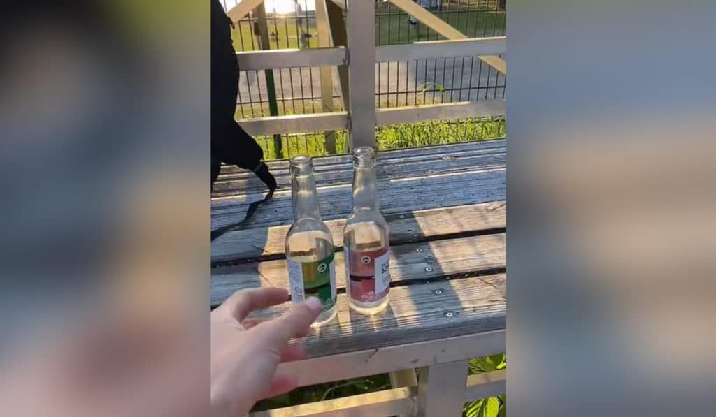 Un español desvela cuánto gana recogiendo botellas en las calles de Finlandia: "Es exagerado"