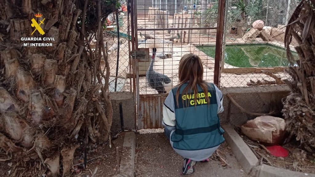 Detienen a una persona que se había montado un zoológico ilegal en su casa en Güímar