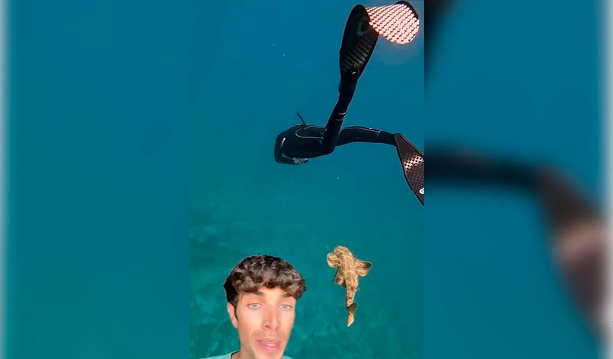 La alucinante experiencia de un joven canario nadando con tiburones