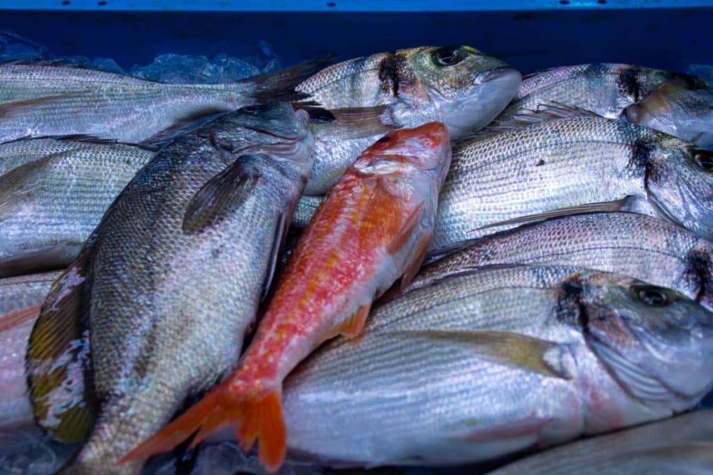Estos son los tres peores pescados de España: ningún médico los recomienda