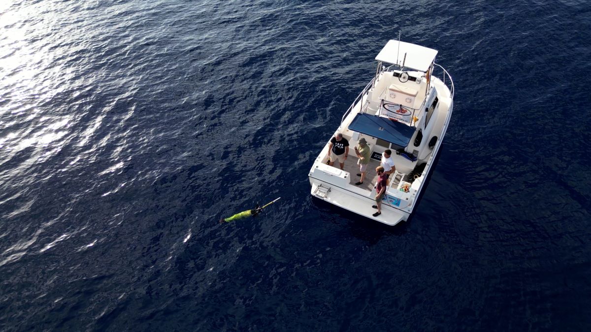 Realizan un mapa acústico de ruido submarino y presencia de cetáceos en la macaronesia