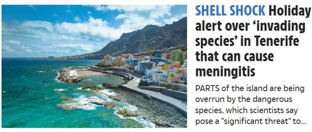 The Sun alerta a los turistas británicos de la presencia de caracoles gigantes en Tenerife