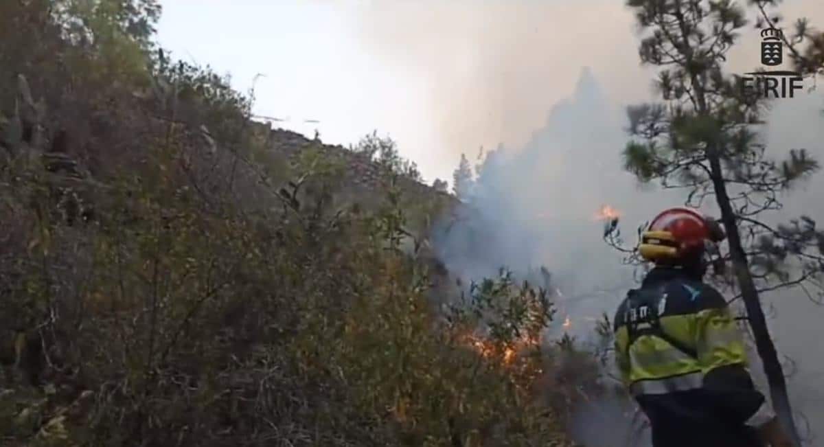El incendio de La Palma sigue estabilizado, pero el viento provoca algunas reactivaciones