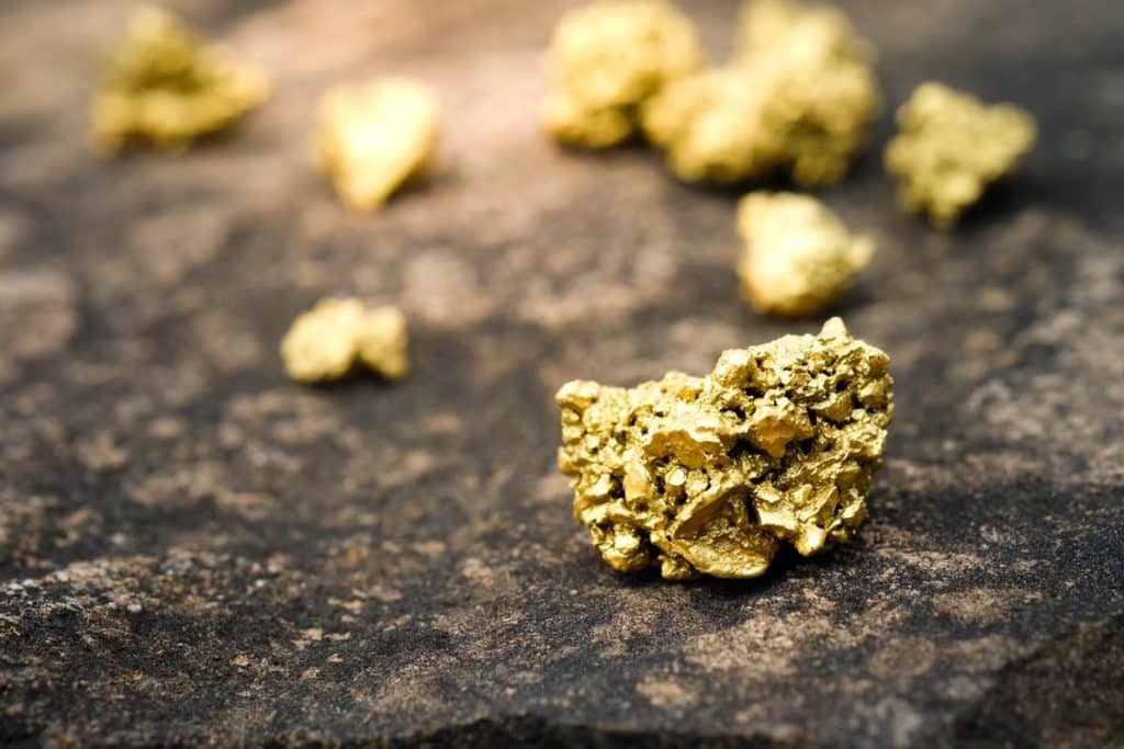 Un niño de 12 años encuentra una pepita de oro durante una excursión escolar a una mina