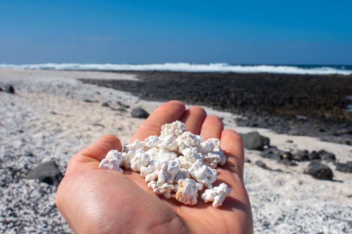 Esta es la playa más fotografiada de Canarias: está en riesgo por saqueos