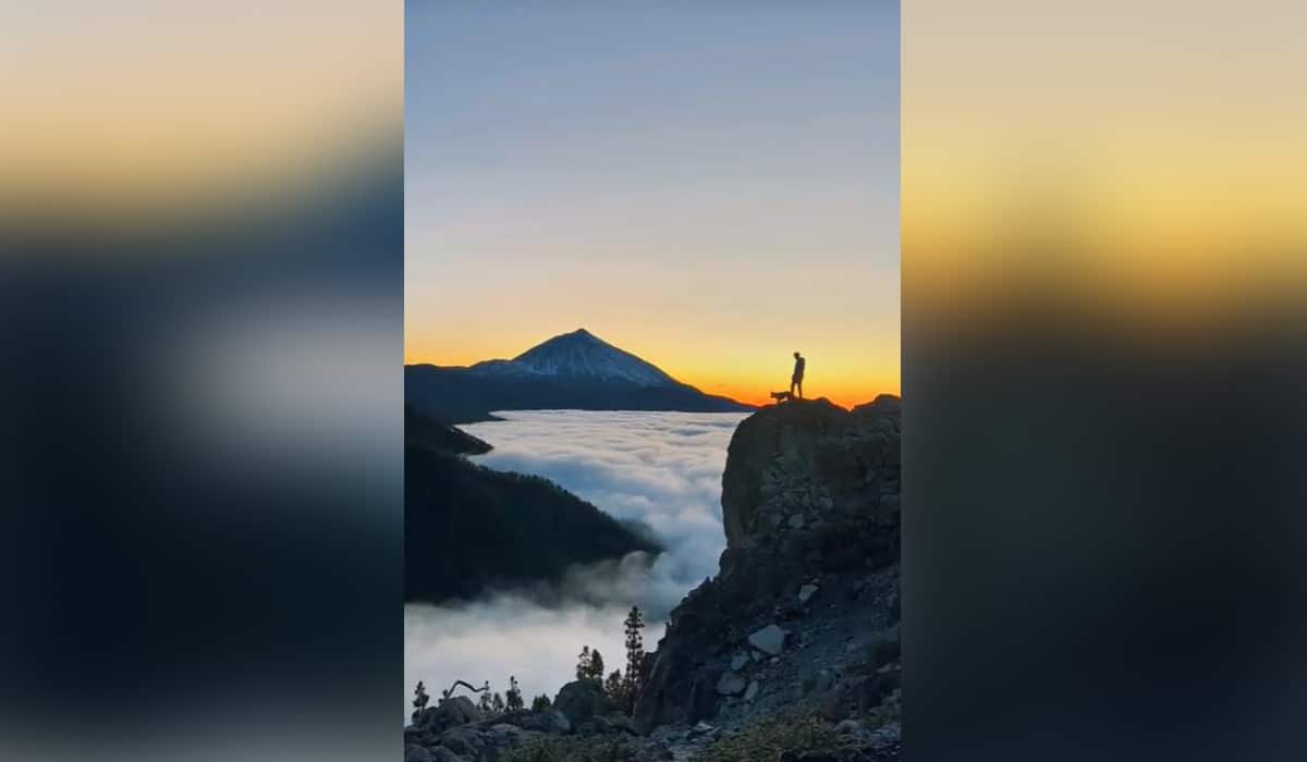 Viaja solo por el mundo acompañado de su perro y ahora está en Tenerife: tienes que ver su último vídeo en Tiktok