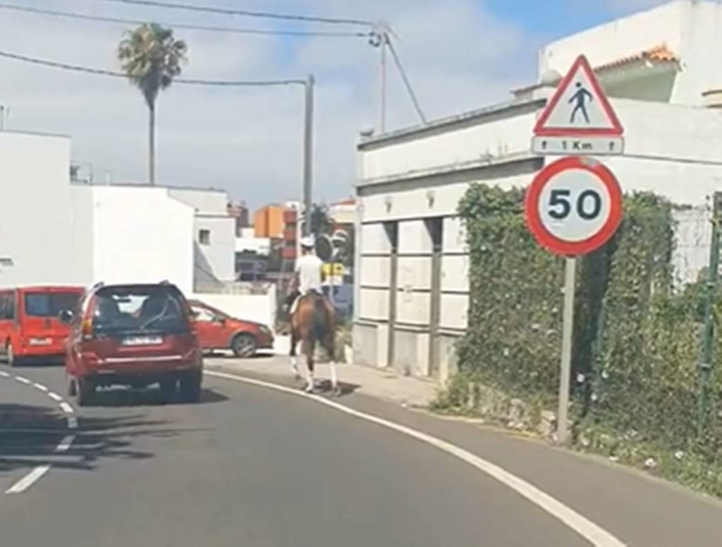 ¿Se puede ir en caballo por las carreteras de Canarias? Un tuit ha generado dudas en redes