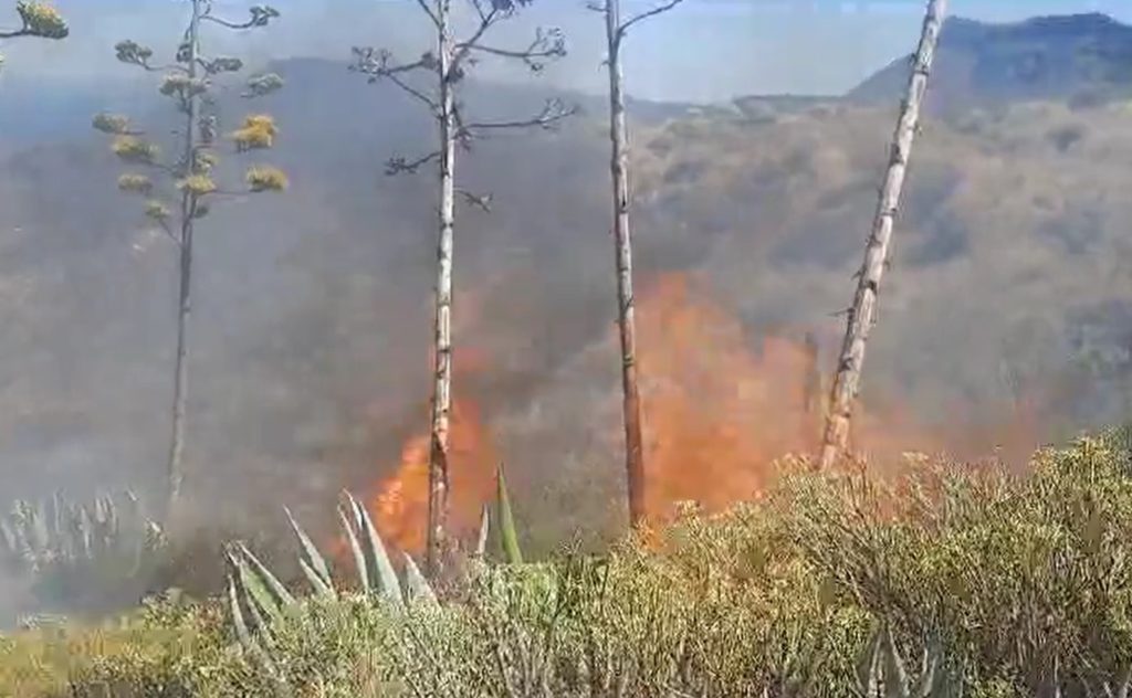 incendio de Gran Canaria
