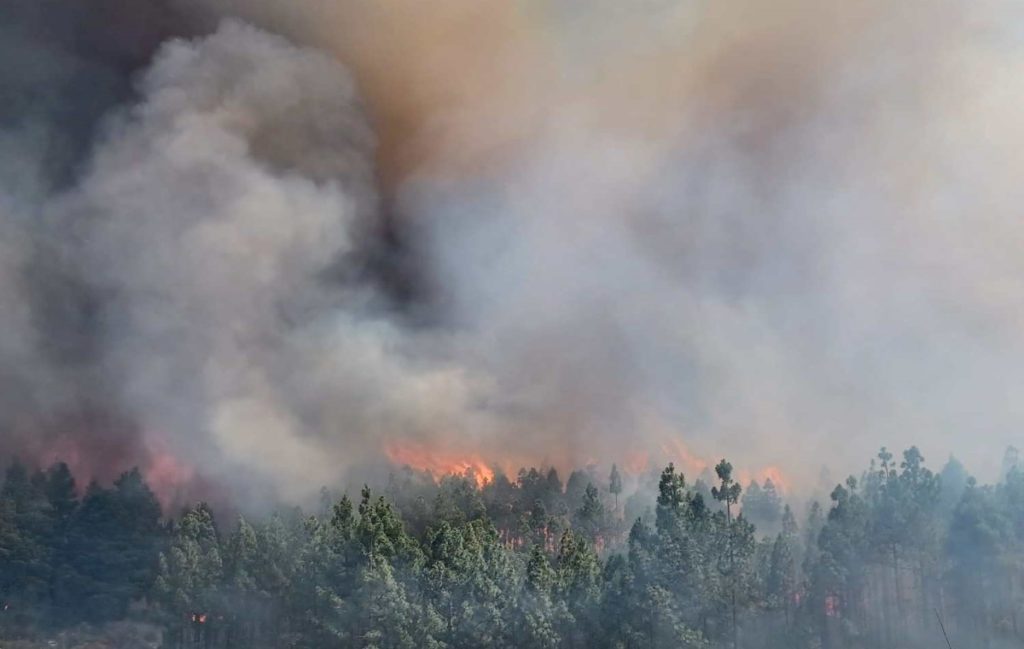 El cambio climático dispara los incendios forestales en el planeta