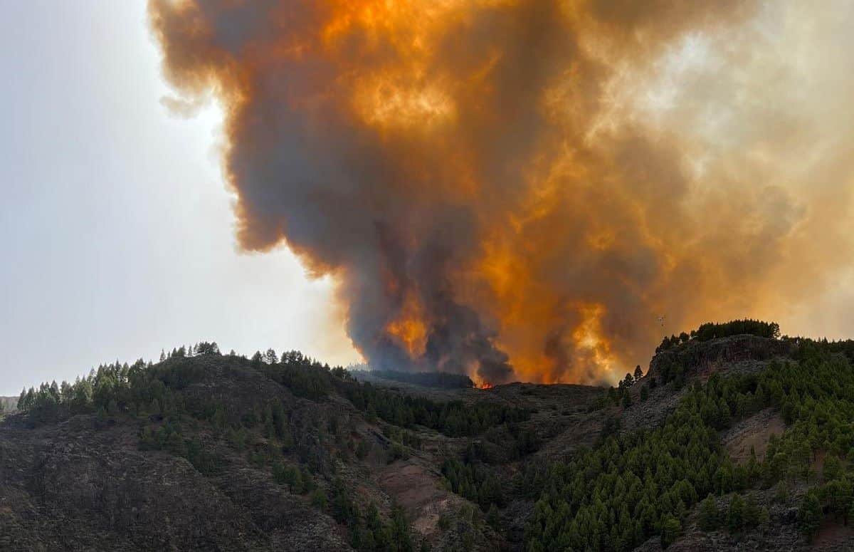 El incendio de Tejeda evoluciona de forma "positiva" y no se considera subir a nivel 2