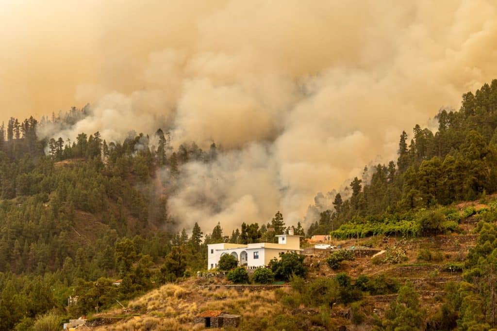 Los últimos desalojados por el incendio de La Palma regresan a sus casas