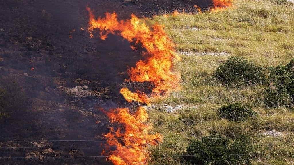 El fuego no da tregua en el Mediterráneo: cerca de 50 muertos en los incendios de Italia, Grecia y Argelia