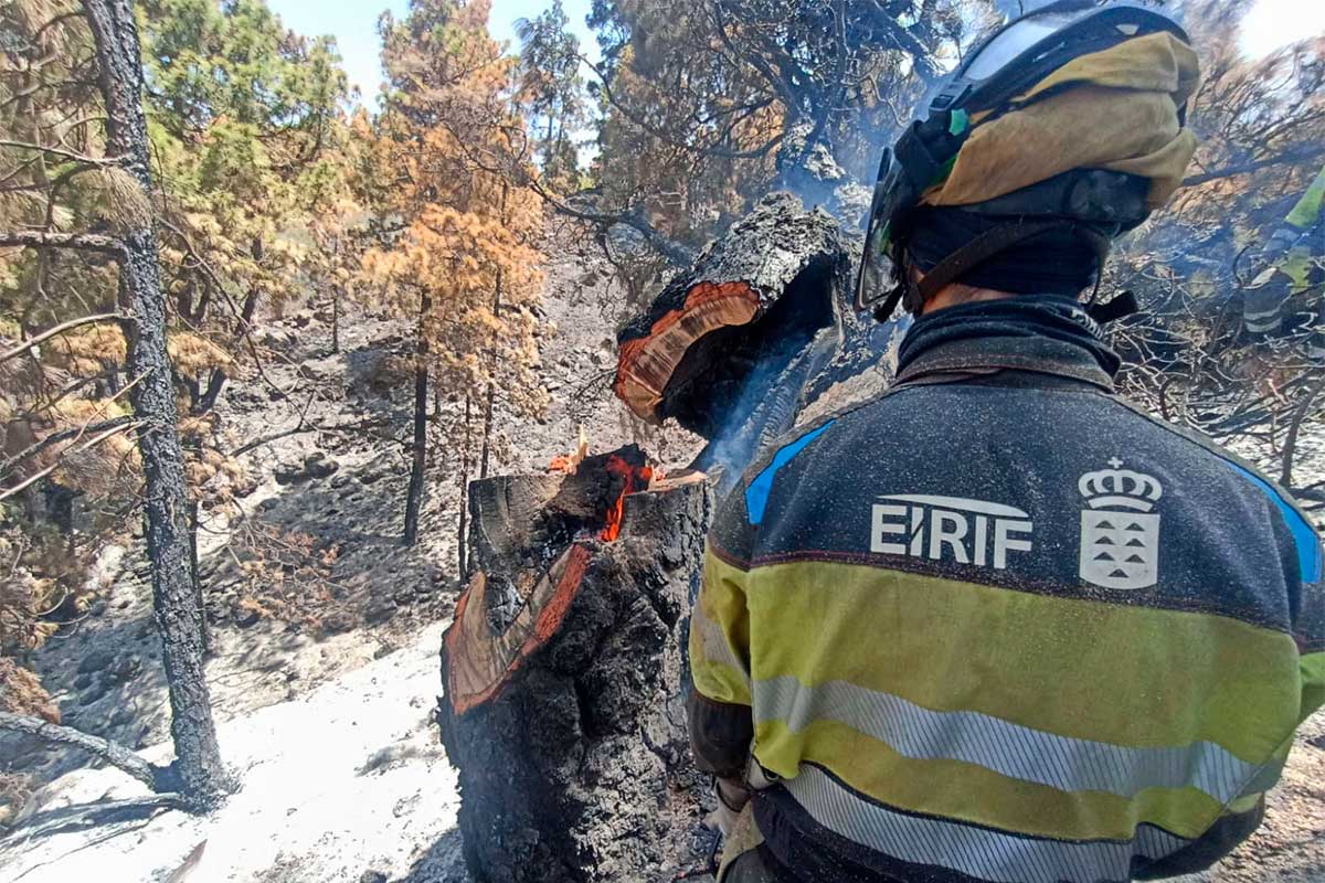 Trabajan en la Caldera de Taburiente en la reactivación del incendio de La Palma