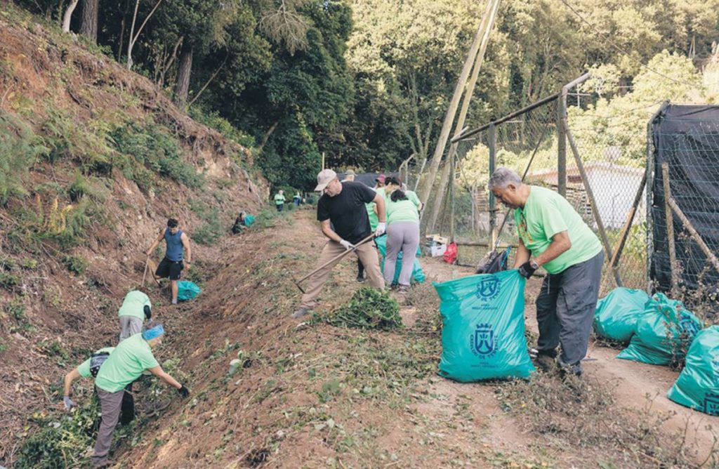 Voluntarios se movilizan contra la flora invasora en Agua García