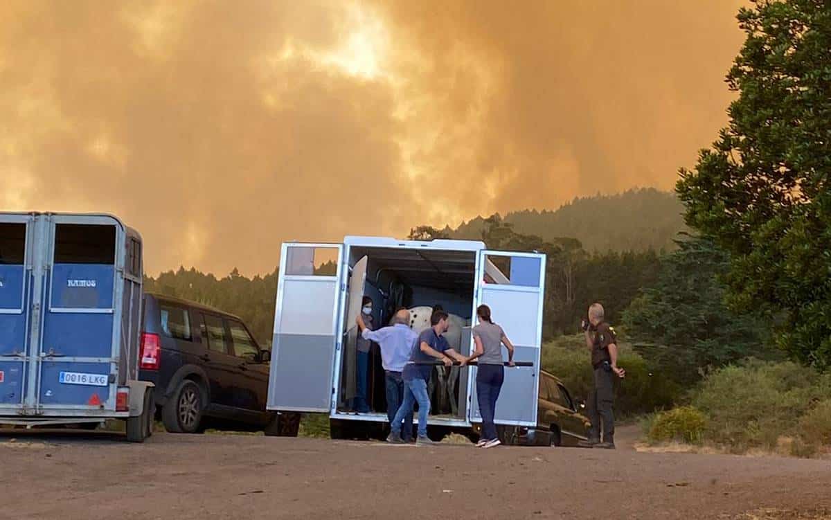 incendio de Tenerife