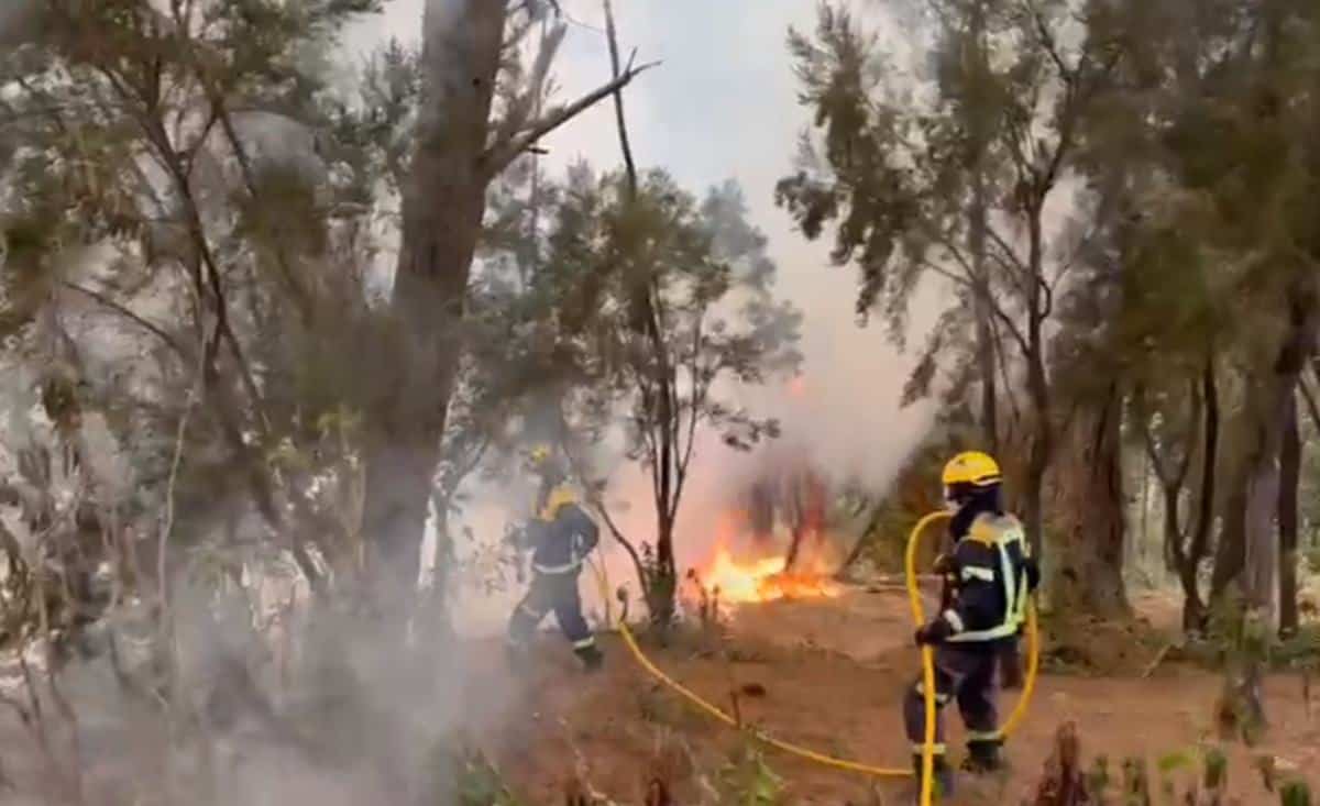 Un 'milagro' en el incendio de Tenerife