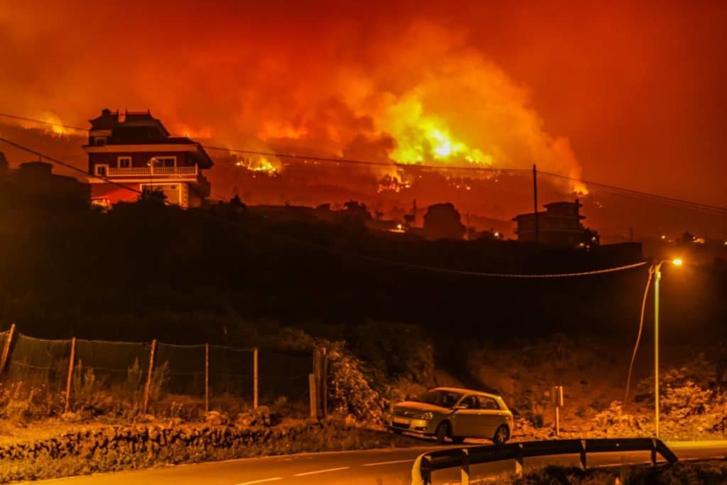 El devastador incendio en Tenerife, el más grave de lo que va de 2023 en España