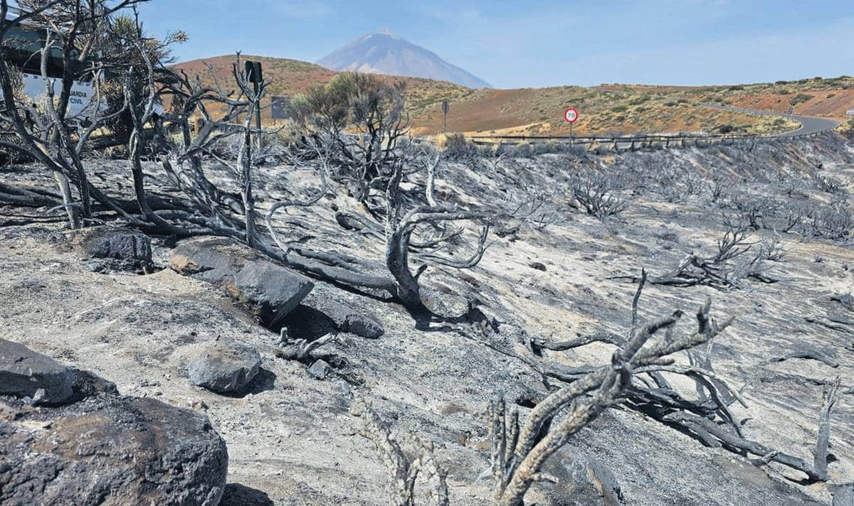 La huella del fuego: un manto negro en la dorsal de la Isla
