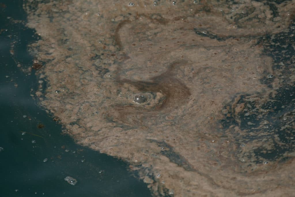 La mancha marrón es visible desde distintos puntos de la costa. Fran Pallero