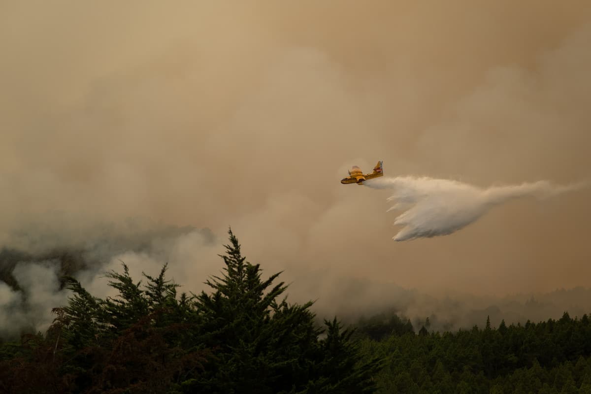 Incendio en Tenerife. Fran Pallero
