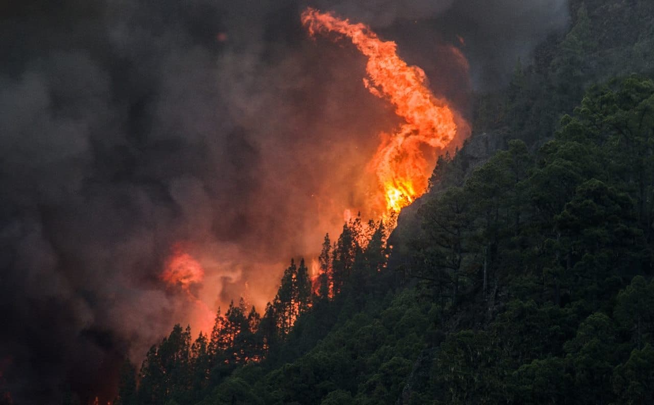 Incendio en Tenerife. Isidro Felipe Acosta