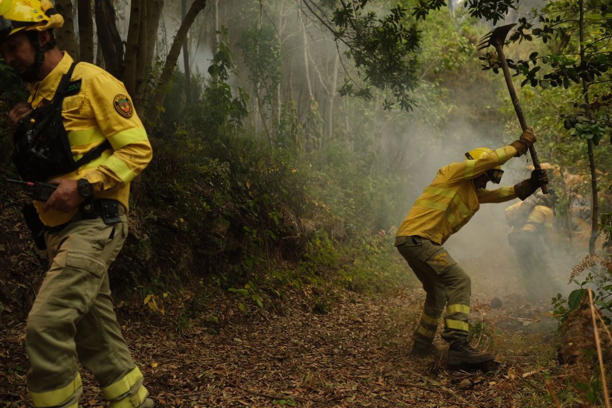 Incendio forestal