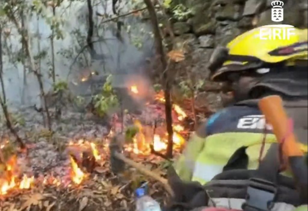 Un espectacular vídeo muestra cómo luchan los efectivos terrestres contra el incendio de Tenerife