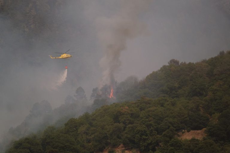 Incendio de Tenerife 2023 - Medios aéreos descargan agua en la zona de Pinolere