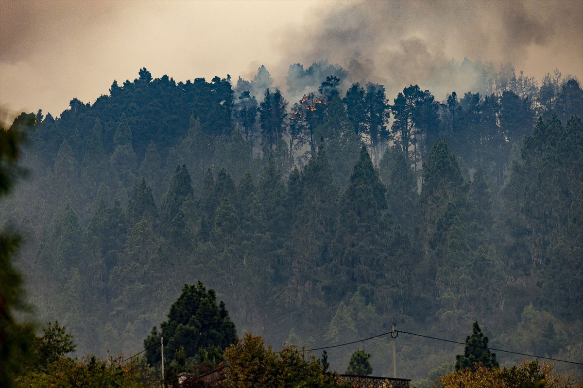 Incendio en Tenerife | EP