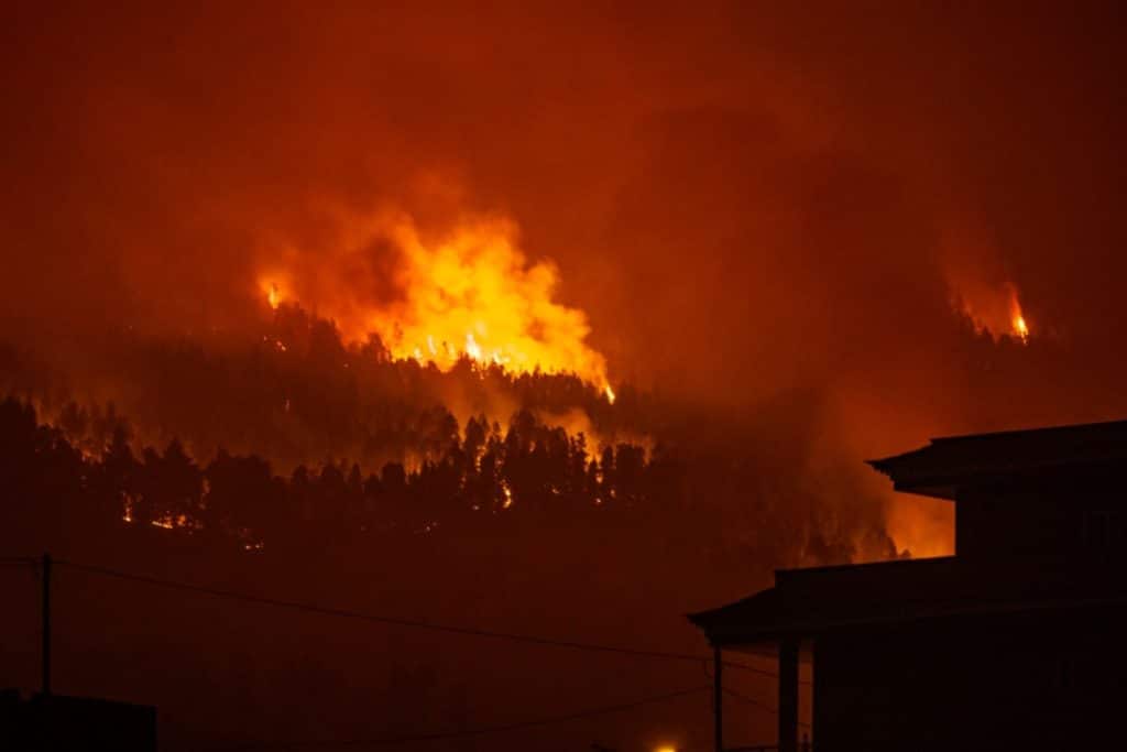 Estas son las penas que podrían enfrentar las personas que han "provocado" el incendio de Tenerife: caso por caso