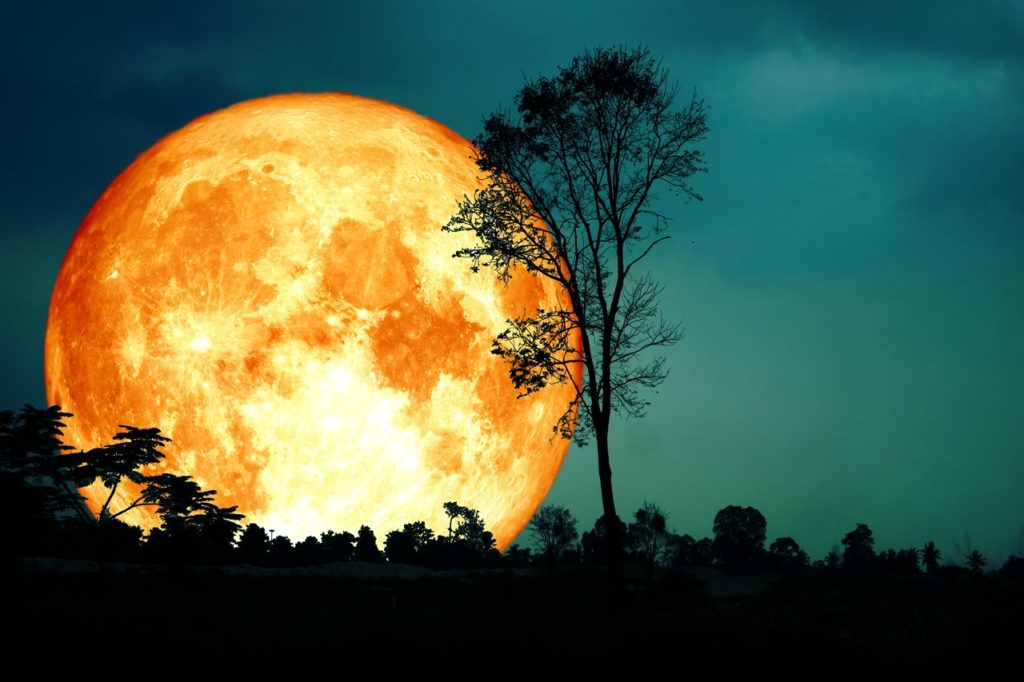 Luna de La Cosecha. Shutterstock