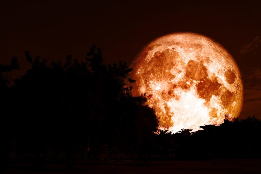 Luna del Cazador. Shutterstock