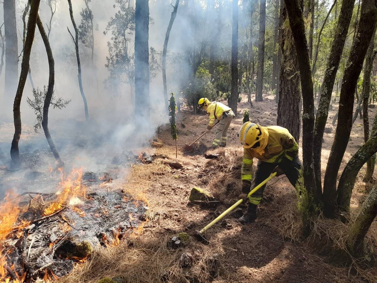 El Cabildo mantiene un operativo para el incendio de Tenerife con 70 personas: desactiva los dos helicópteros del Estado