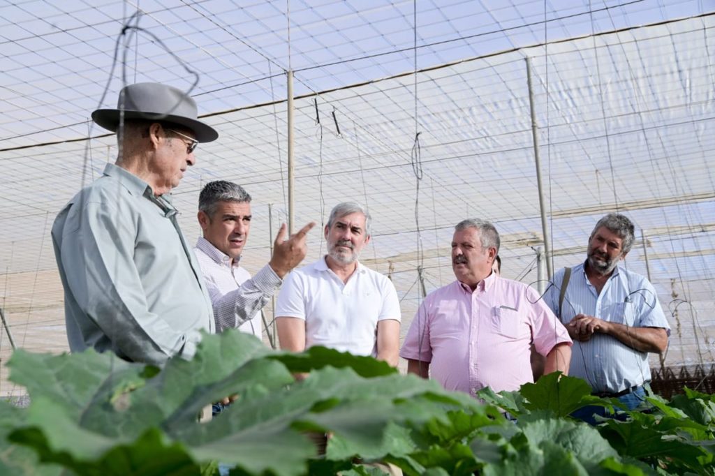 Visita a una finca hortofrutícola de la Sociedad Agraria de Transformación (SAT), en Güímar.