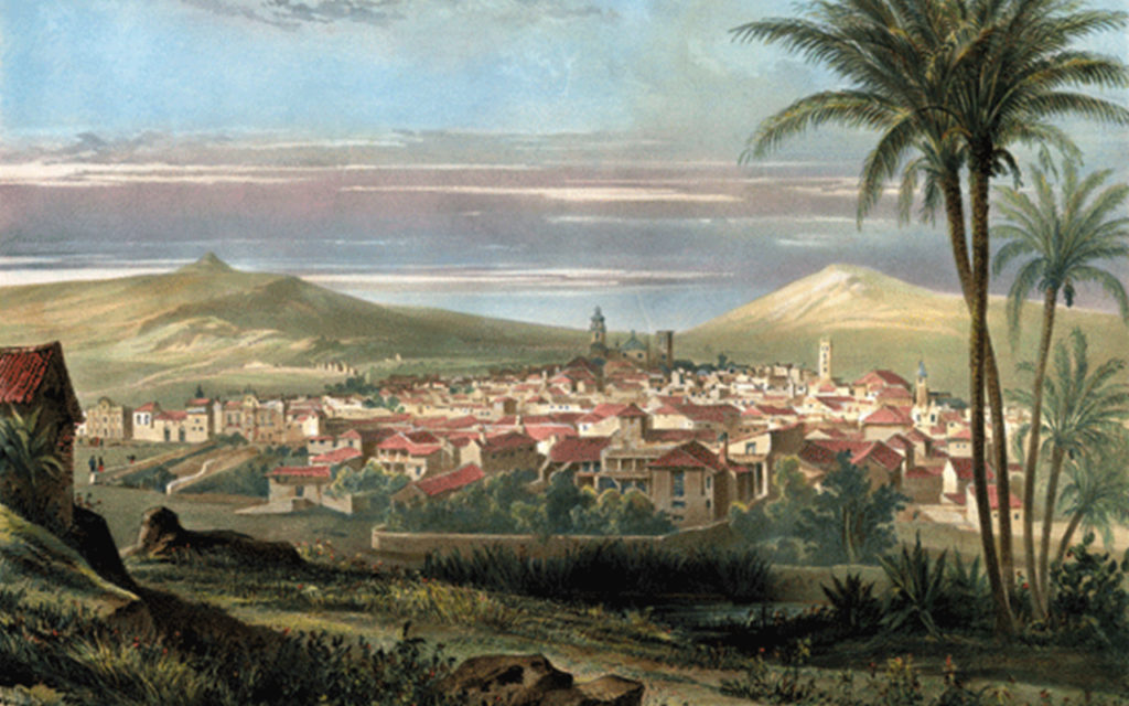 El tabaco de La Palma: la historia de una industria próspera que nació con los indianos