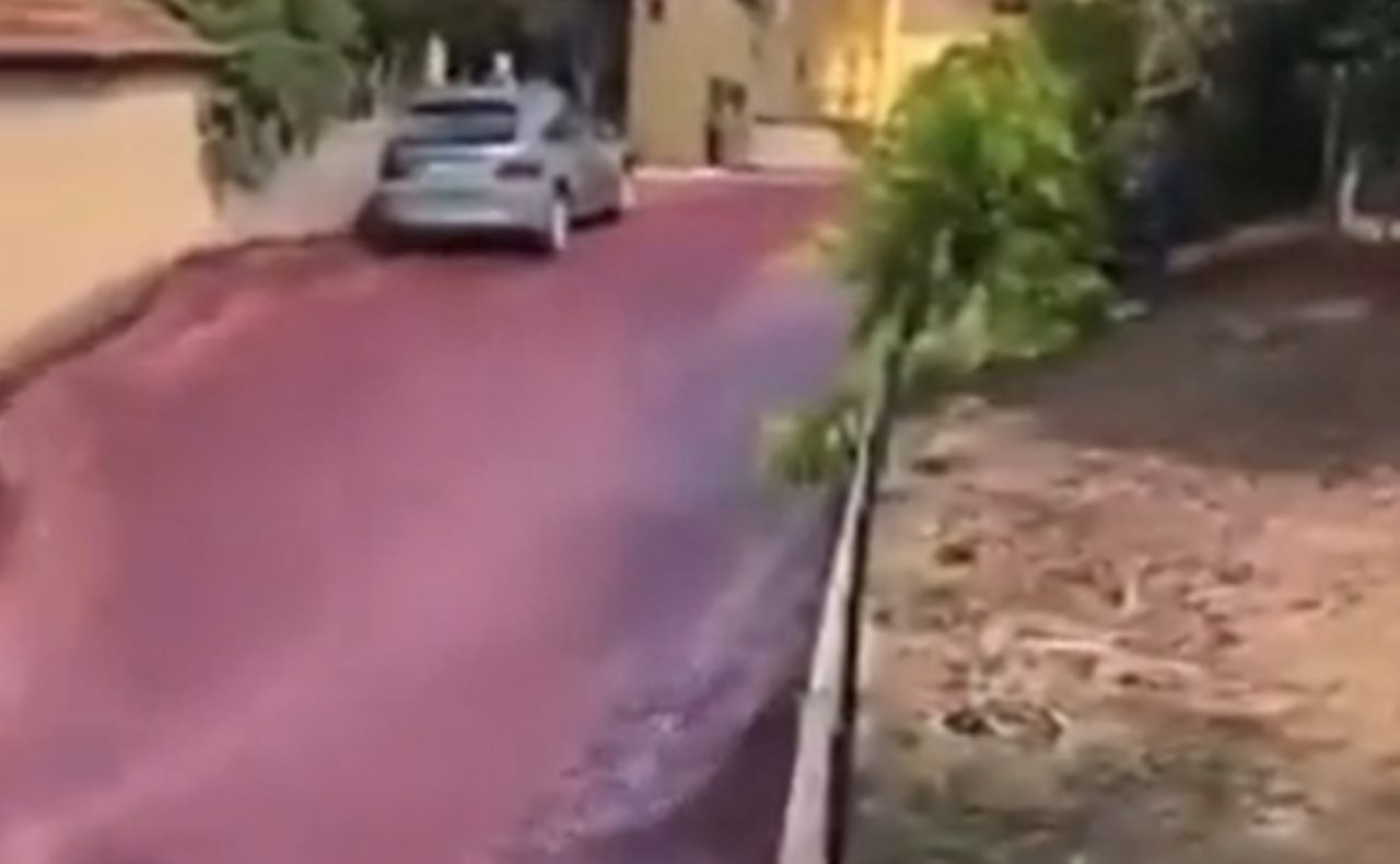La escena se ha hecho viral en las redes sociales, donde miles de usuarios han comentado la publicación, la mayoría de ellos tirando de sentido del humor.