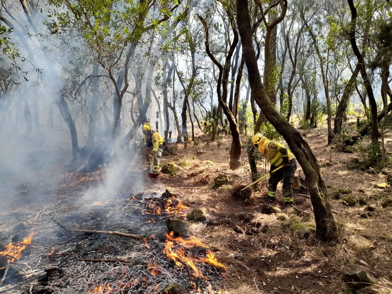 Servicios de extinción del Cabildo trabajan para mantener a raya el incendio.