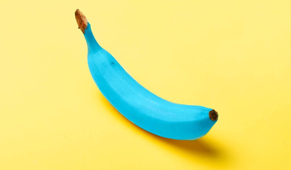 El plátano de Canarias ahora es azul y tiene un sabor peculiar