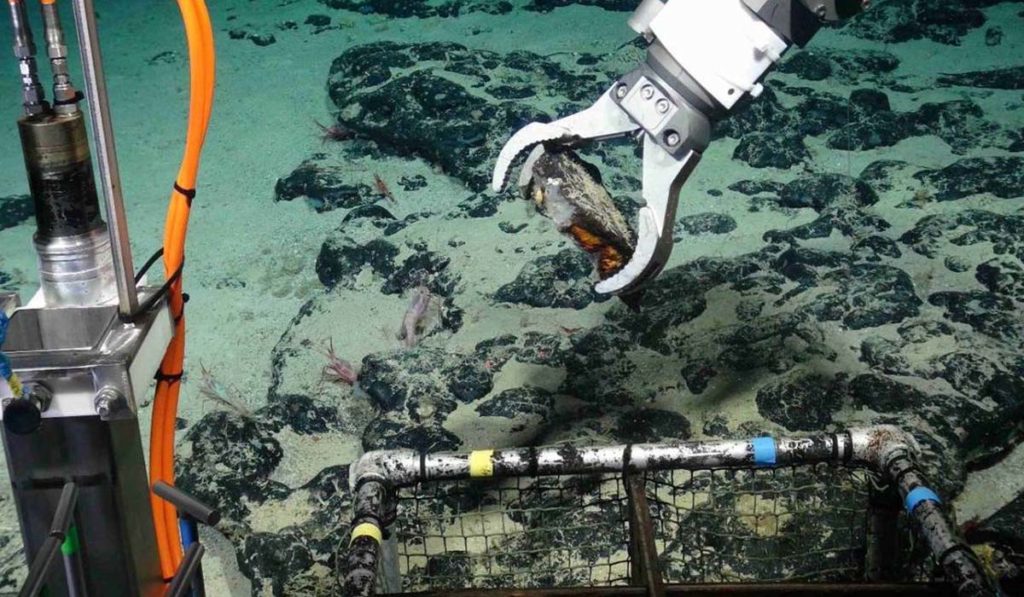 El monte submarino Tropic atesora 130 toneladas de telurio por kilómetro cuadrado