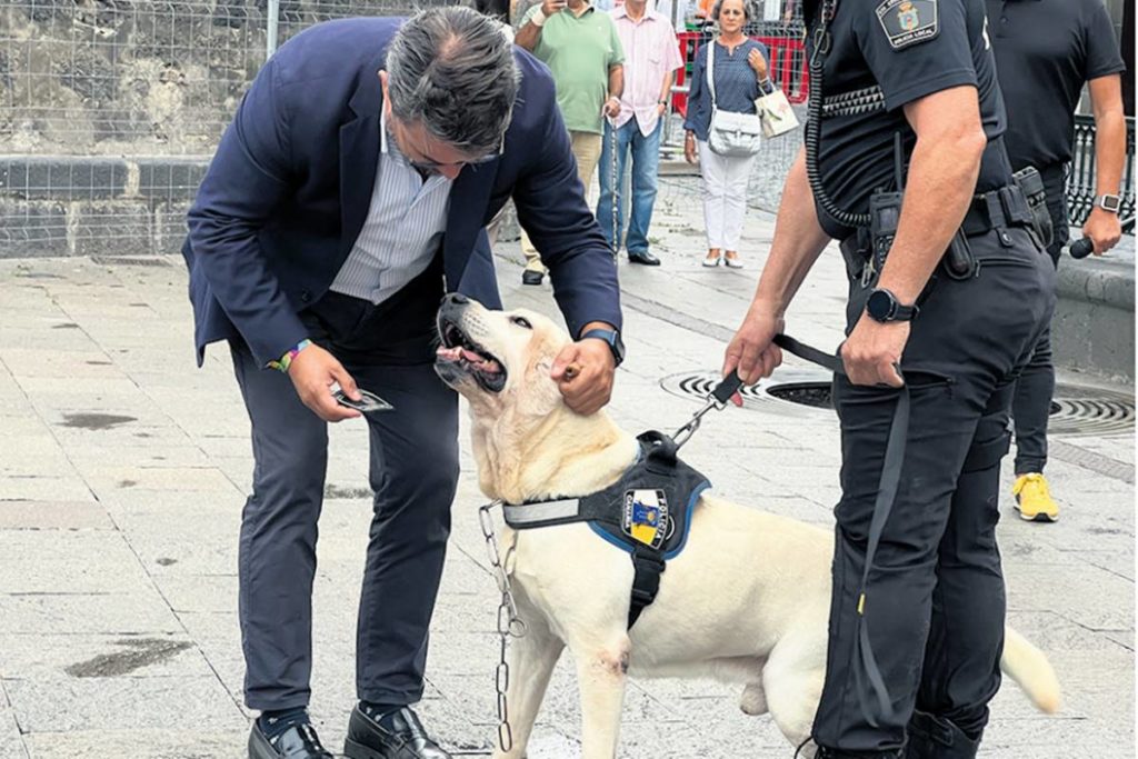 La Policía Local de Santa Cruz de La Palma despide a su agente canino ‘Draco’, que llega a su jubilación