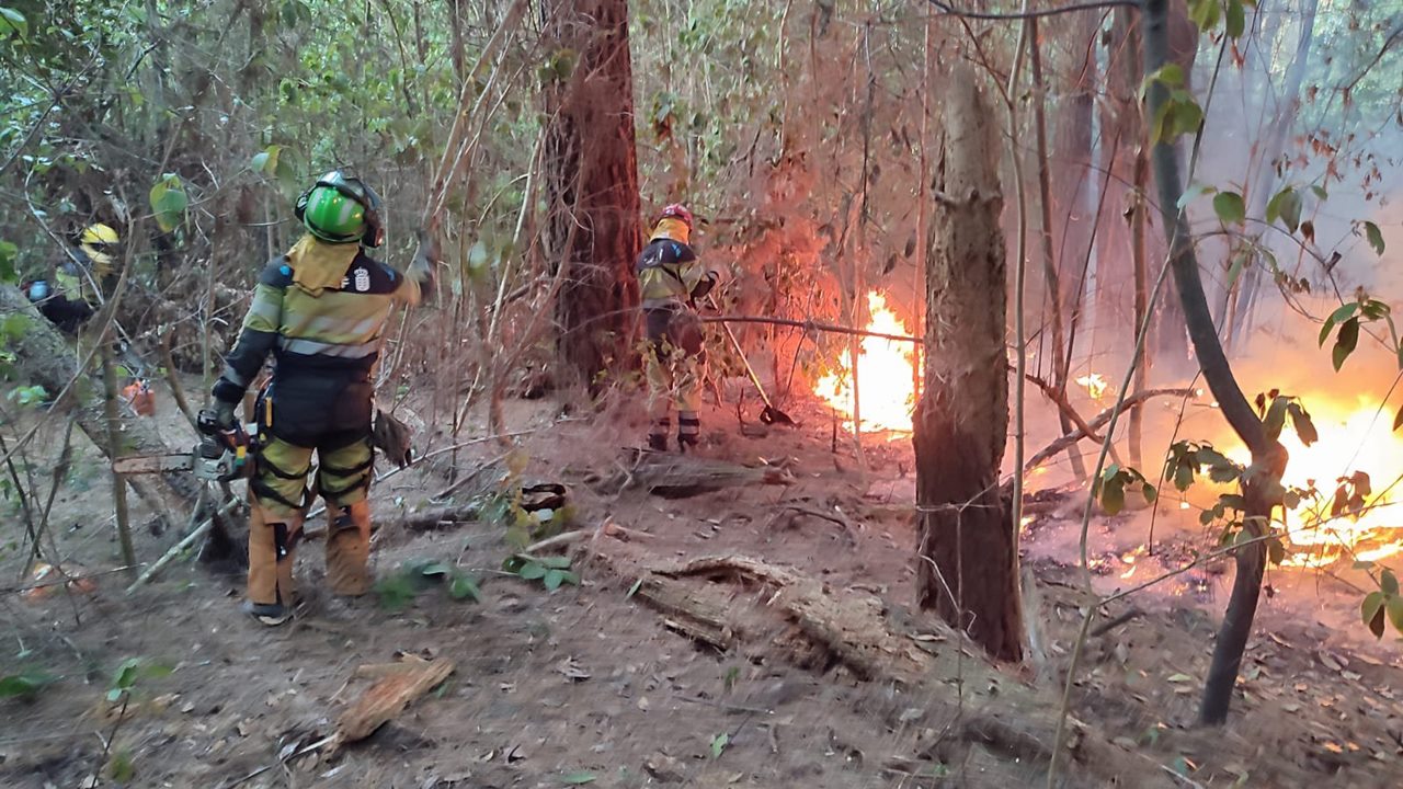 Trabajos en la zona afectada por el incendio de Tenerife