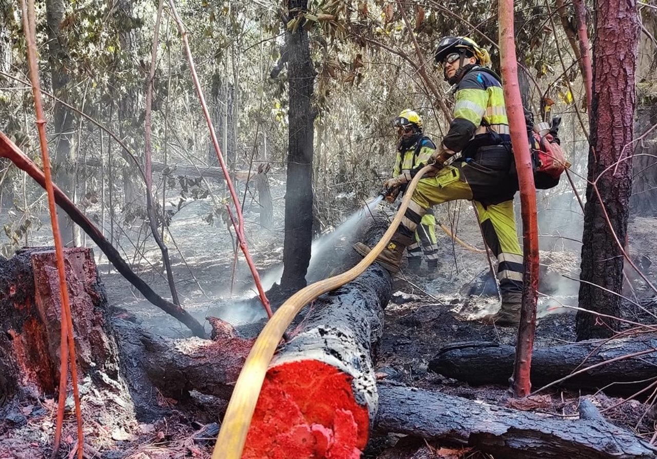 La previsión de vientos "erráticos" mantiene la alerta en el incendio de Tenerife